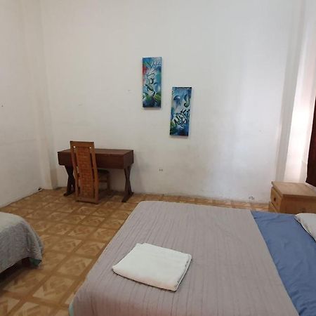 Taiyari Hostal Monterrey Extérieur photo
