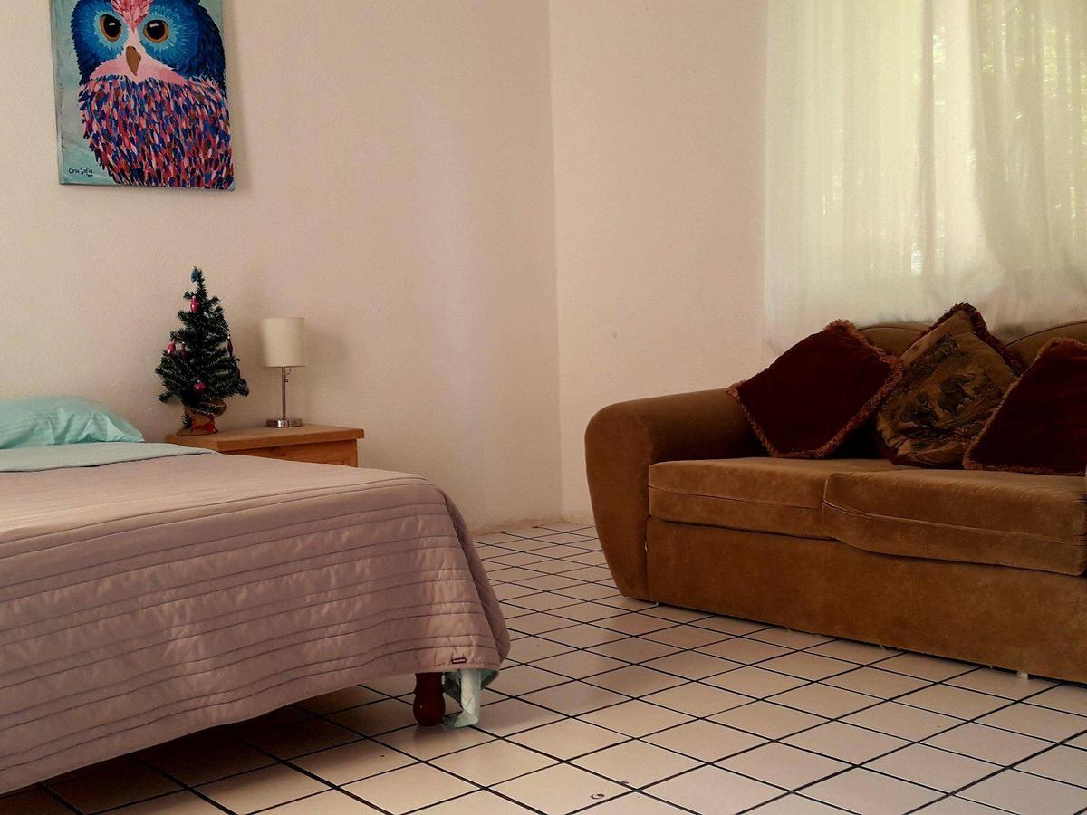 Taiyari Hostal Monterrey Extérieur photo