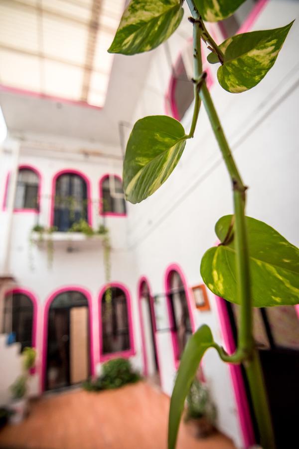 Taiyari Hostal Monterrey Extérieur photo